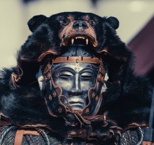 Ivlivs Petronivs Mercator